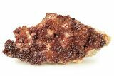 Glittering, Ruby Red Vanadinite Crystals on Barite - Morocco #278249-1